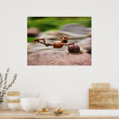 Acorn elf reiten auf dem Schneckenposter Poster (Küche)