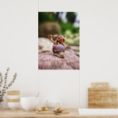 Acorn elf reiten auf dem Schneckenposter Poster (Küche)