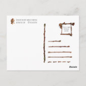 Acorn elf reiten auf der Schnecke Postkarte (Rückseite)