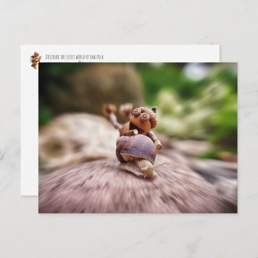 Acorn elf Reiten auf der Schnecke Postkarte (Vorne/Hinten)