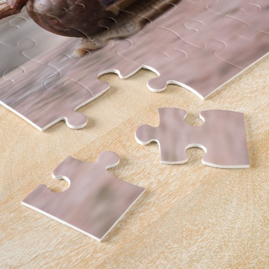 Acorn-Elf-Reiter auf dem Puzzle der Schnecke (Seite)