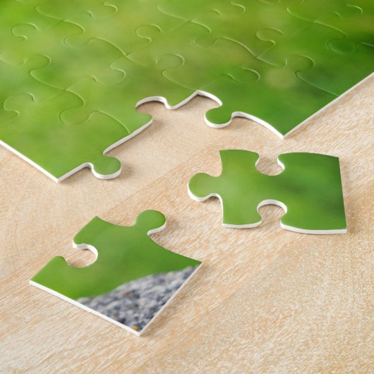 Acorn elf rider blowing to blowball puzzle (Seite)