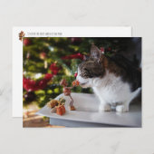 Acorn Elf schenkt Katze Weihnachtsgeschenk Postkarte (Vorne/Hinten)