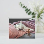 Acorn-Elf-Teekatze Postkarte (Stehend Vorderseite)