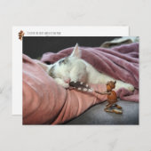 Acorn-Elf-Teekatze Postkarte (Vorne/Hinten)