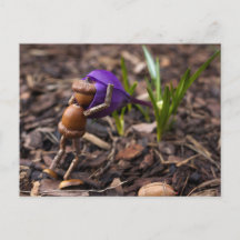 Acorn elf Überprüfung der Frühling-Blume