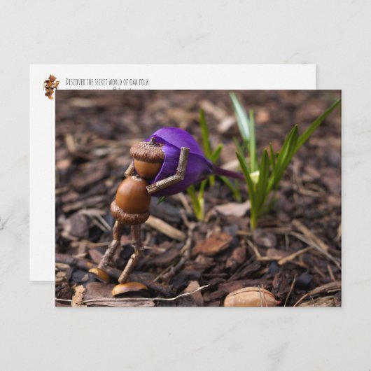 Acorn elf Überprüfung der Frühling-Blume Postkarte (Vorne/Hinten)