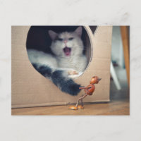 Acorn elf wecke die Katze und geht ein großes Risi