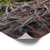 Acorn elf with bike resting on mushroom poster (Ecke)