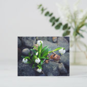 Acorn elf with snowflake flower spring postcard postkarte (Stehend Vorderseite)