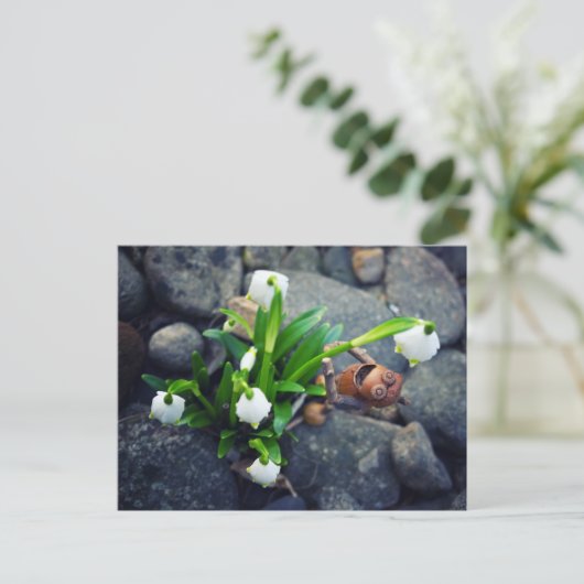 Acorn elf with snowflake flower spring postcard postkarte (Stehend Vorderseite)