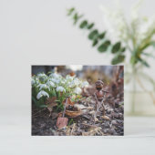 Acorn-Elfengärtner mit Schneeflocke-Blume Postkarte (Stehend Vorderseite)