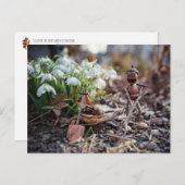Acorn-Elfengärtner mit Schneeflocke-Blume Postkarte (Vorne/Hinten)