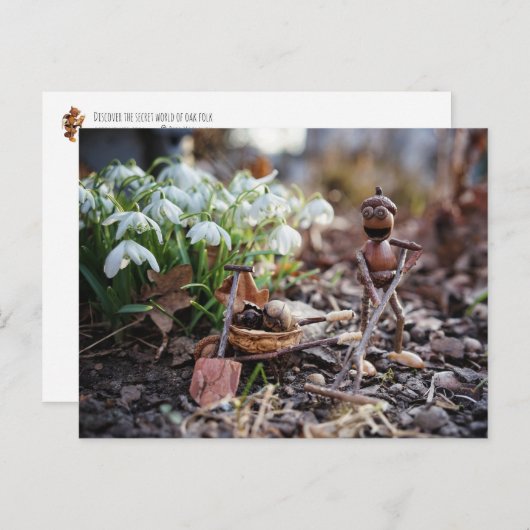 Acorn-Elfengärtner mit Schneeflocke-Blume Postkarte (Vorne/Hinten)