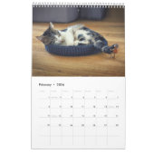 Acorn Elves / Dubanci Foto Kalender (Feb 2026)