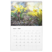 Acorn Elves / Dubanci Foto Kalender (Mär 2026)