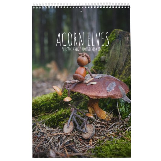 Acorn Elves / Dubanci Foto Kalender (Titelbild)