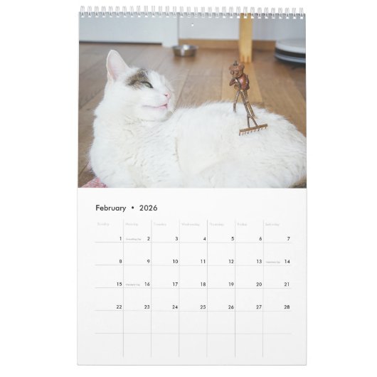 Acorn Elves / Dubanci Foto Kalender (Feb 2026)