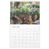 Acorn Elves / Dubanci Foto Kalender (Mär 2027)