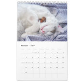 Acorn Elves / Dubanci Foto Kalender (Feb 2027)