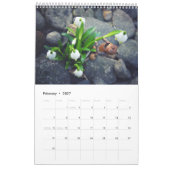 Acorn Elves / Dubanci Foto Kalender (Feb 2027)