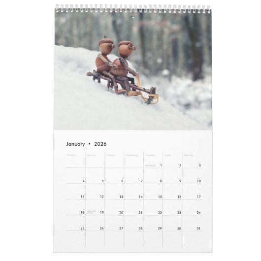 Acorn Elves / Dubanci Foto Kalender (Jan 2026)