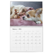 Acorn Elves / Dubanci Foto Kalender (Feb 2026)