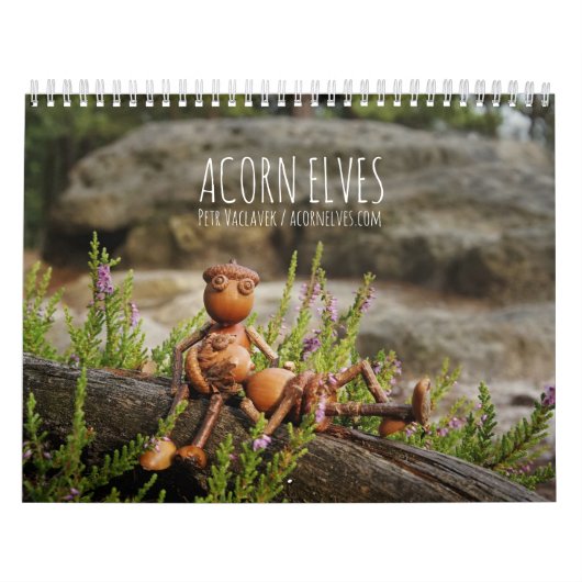 Acorn Elves / Dubanci Foto Kalender (Titelbild)