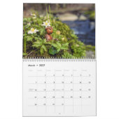 Acorn Elves / Dubanci Foto Kalender (Mär 2027)