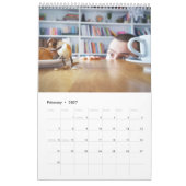 Acorn Elves / Dubanci Foto Kalender (Feb 2027)