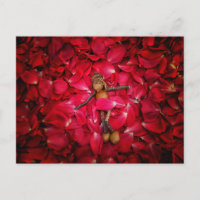 Acorn Elves Schönheit in Rose Postkarte