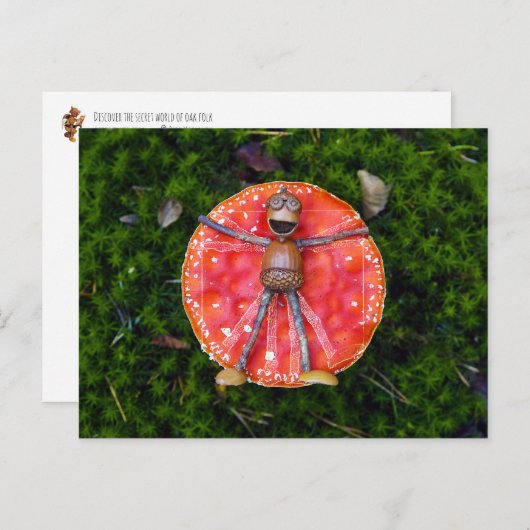 Acorn Elves wie Leonardo auf dem Pilz Postkarte (Vorne/Hinten)