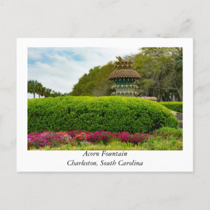 Acorn Fountain in Charleston South Carolina Postkarte