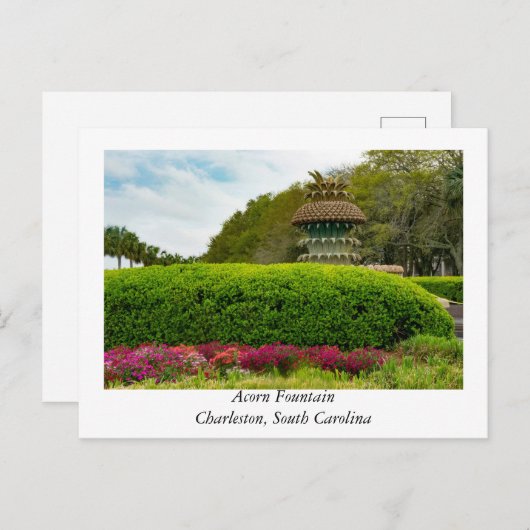 Acorn Fountain in Charleston South Carolina Postkarte (Vorne/Hinten)