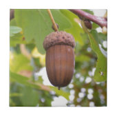 Acorn in einem Eichenbaum Fliese (Vorderseite)