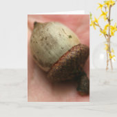 ACORN KARTE (Gelbe Blume)