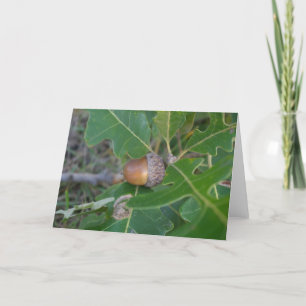 Acorn Karte