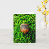 Acorn & Moss Notecard Karte (Gelbe Blume)