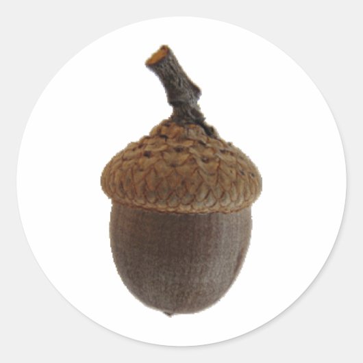 Acorn Nuts Snack Küche Rezepte Runder Aufkleber (Vorderseite)