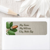 Acorn Oak Blätter (Insitu)