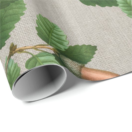 Acorn Oak Blätter Geschenkpapier (Rolleneckpunkt)