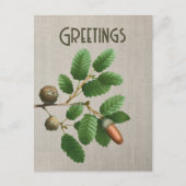 Acorn Oak Blätter Postkarte (Vorderseite)