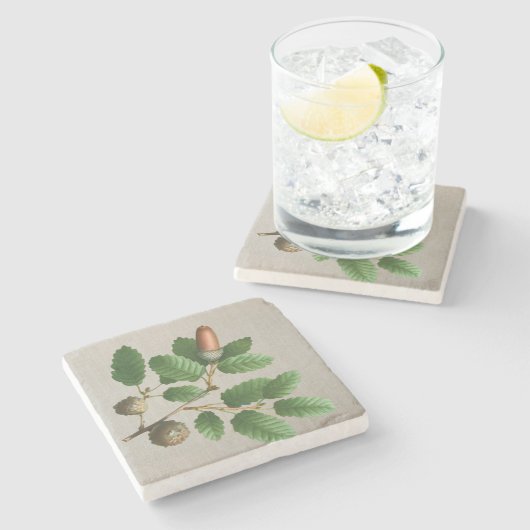 Acorn Oak Blätter Steinuntersetzer (Seitenansicht)