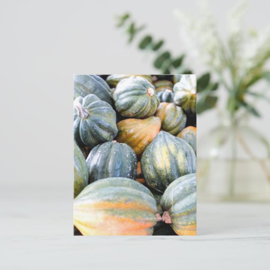 Acorn Squash Postkarte (Stehend Vorderseite)