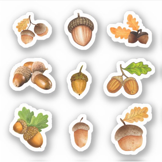 Acorn Stickers Aufkleber (Vorderseite)
