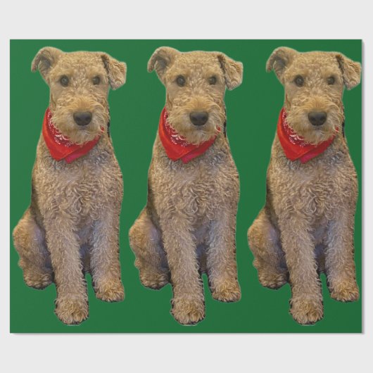 Acorn Wrapping Paper Geschenkpapier (Flach)