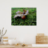 Acorne und ein Eichenfisch Poster (Küche)