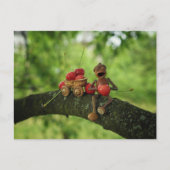 Acornelf frisst Kirschen im Baumsommer Postkarte (Vorderseite)