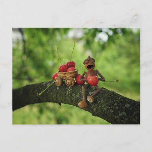 Acornelf frisst Kirschen im Baumsommer Postkarte (Vorderseite)