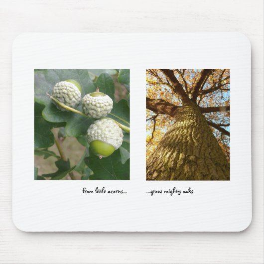 Acorns an Oaks Mousepad (Vorne)